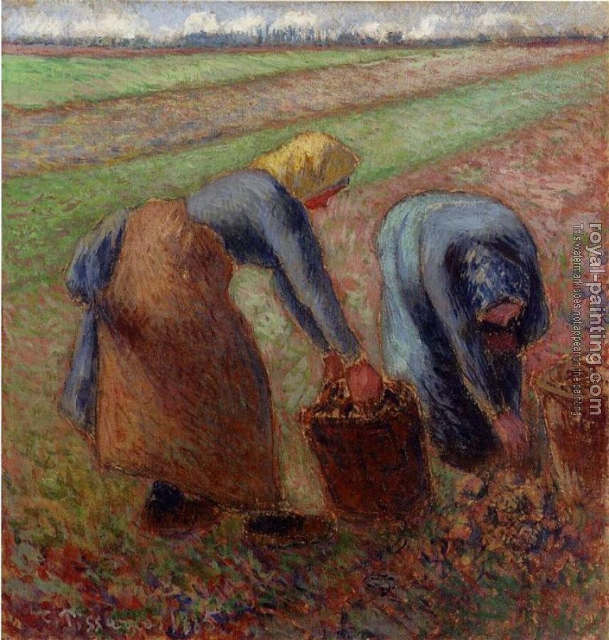 Camille Pissarro : Potato Harvest